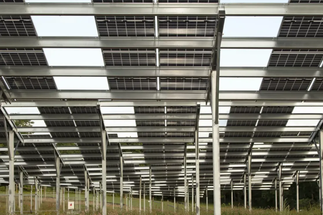 A large array of solar panels mounted on metal frames, elevated above the ground. The panels are arranged in rows, with grassy vegetation visible beneath them. Trees are seen in the background under a clear sky.