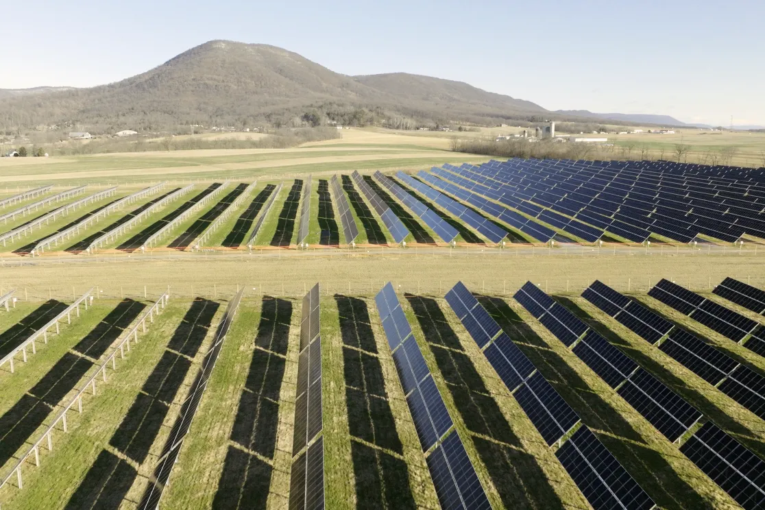 A large solar farm with rows of solar panels stretching across a grassy field. In the background, there are mountains under a clear blue sky.
