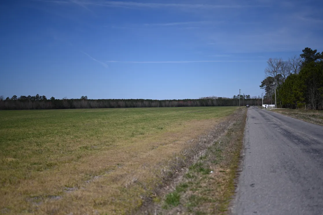 A rural landscape with a paved road on the right and an open grassy field on the left. The road extends into the distance, bordered by trees and power lines. The sky is clear and blue, with a few wispy clouds.