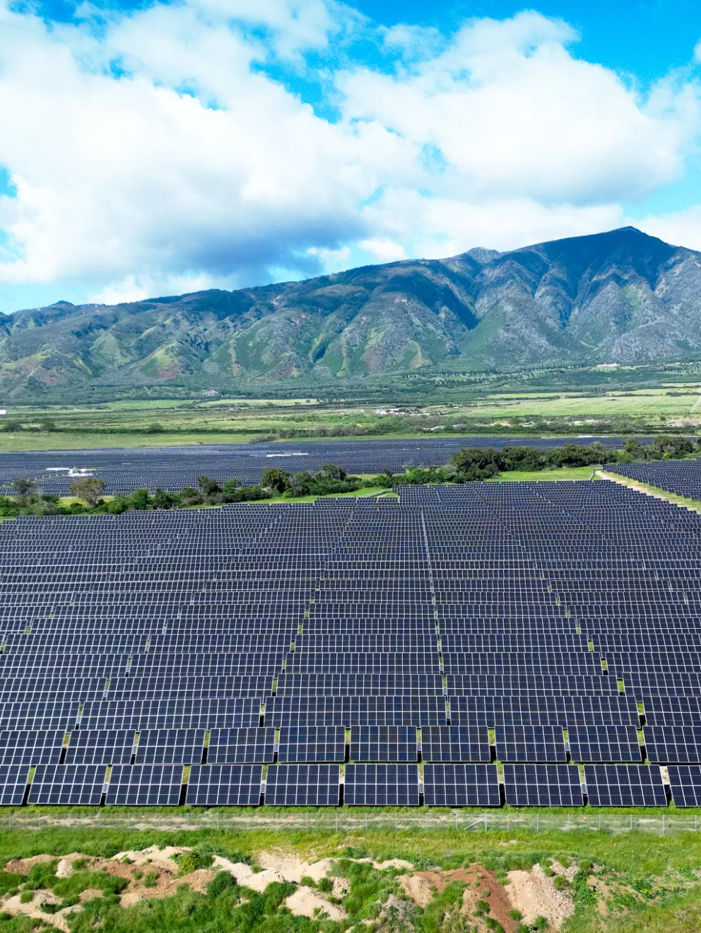 A vast solar farm with rows of solar panels stretches across a green landscape, with a backdrop of mountains under a partly cloudy blue sky.