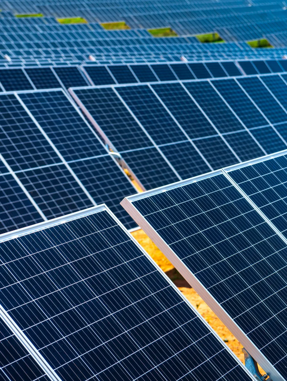 Close-up view of multiple rows of solar panels in a solar farm, capturing sunlight for energy production.