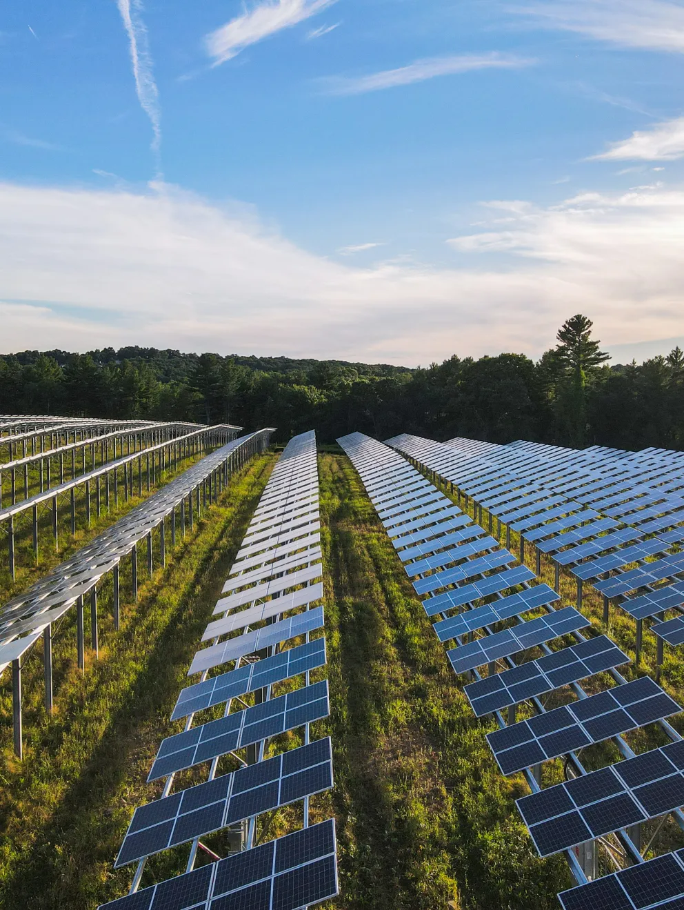 Aerial view of a solar farm with rows of solar panels stretching into the distance, surrounded by trees under a clear blue sky.