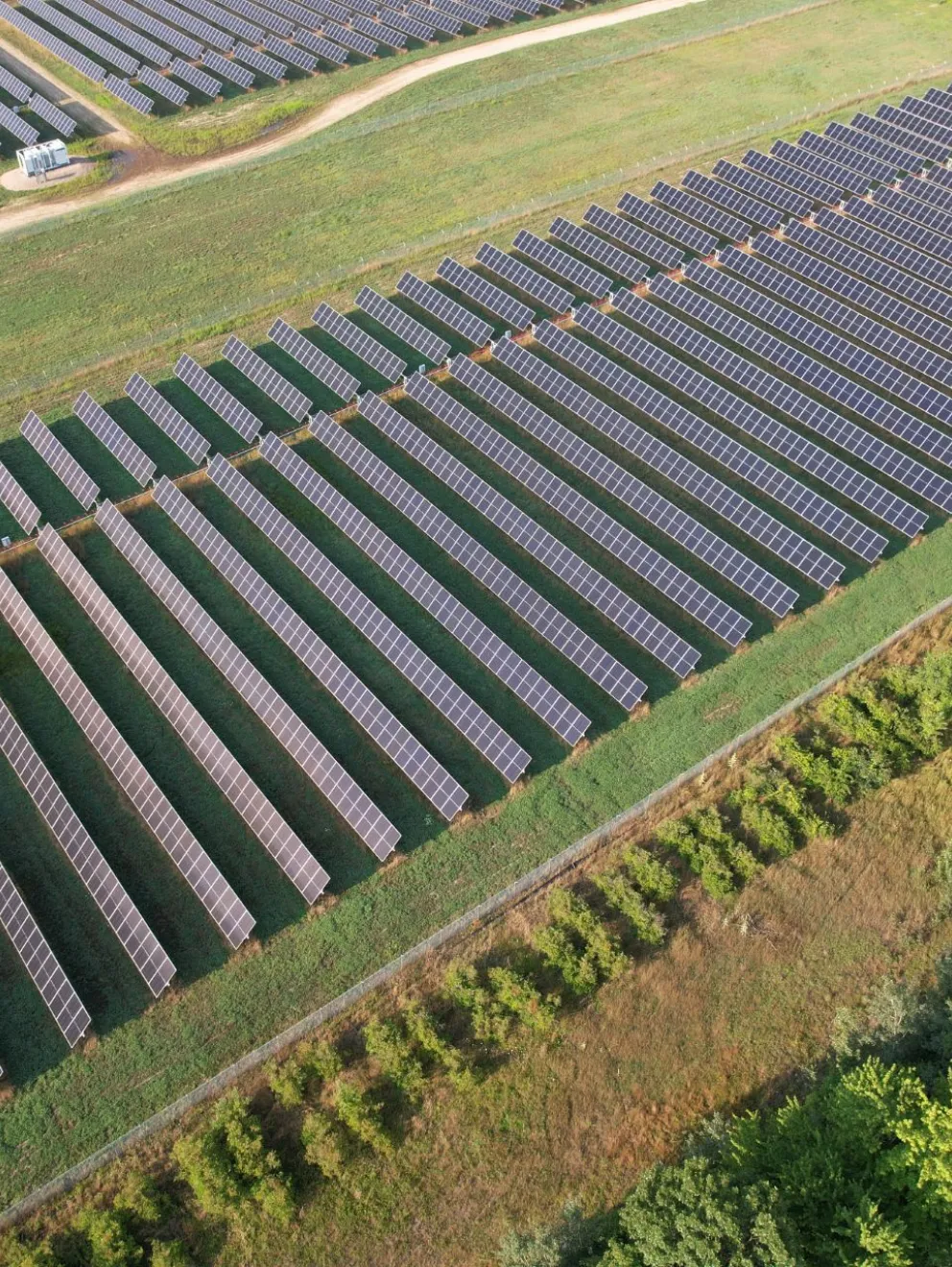 Aerial view of a large solar farm with rows of solar panels on green grass, surrounded by trees and a dirt path.