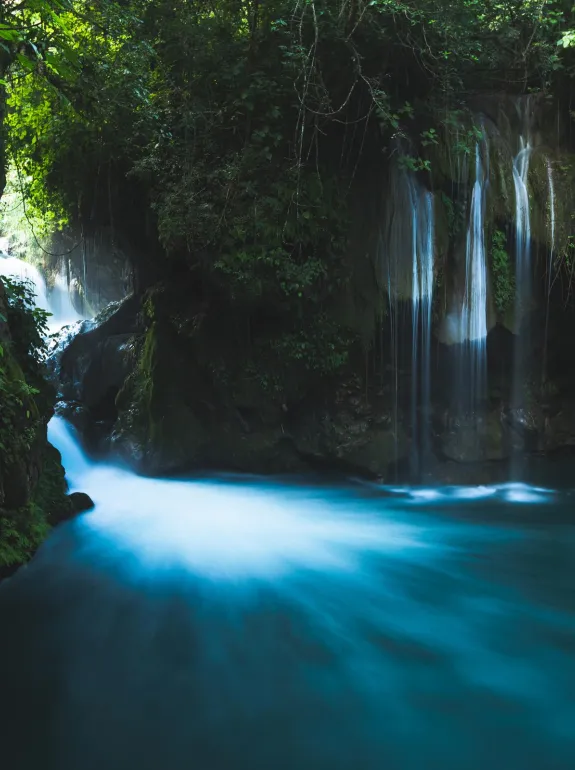 A serene waterfall cascades into a clear blue pool surrounded by lush green foliage in a forest setting. Sunlight filters through the trees, highlighting the vibrant greenery.
