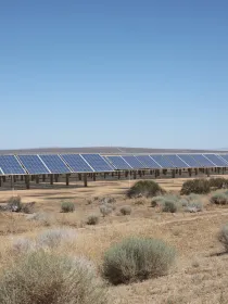 A large array of solar panels in a desert landscape with sparse vegetation under a clear blue sky.
