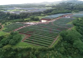 Aerial view of a large solar farm with rows of solar panels surrounded by lush green trees and vegetation. The panels are arranged in neat, parallel lines across the landscape. A small pond is visible near the center of the image.