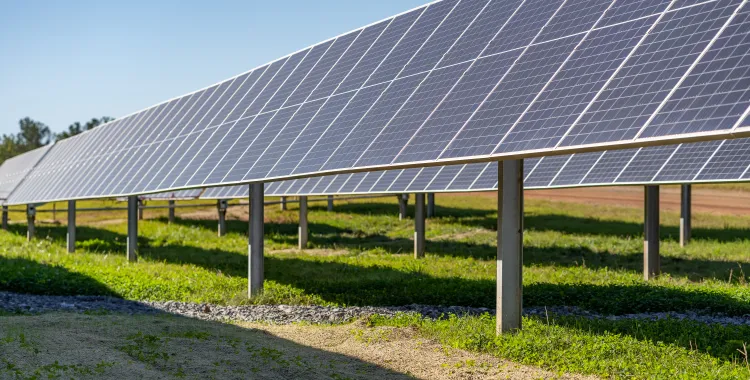 Rows of solar panels on a green field under a clear blue sky, generating renewable energy.