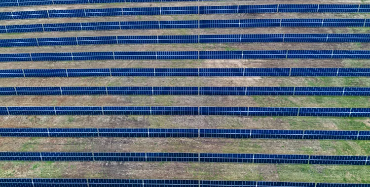 Aerial view of a large solar farm with rows of solar panels on a grassy field.