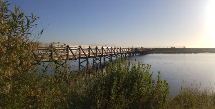 CA_Wetlands