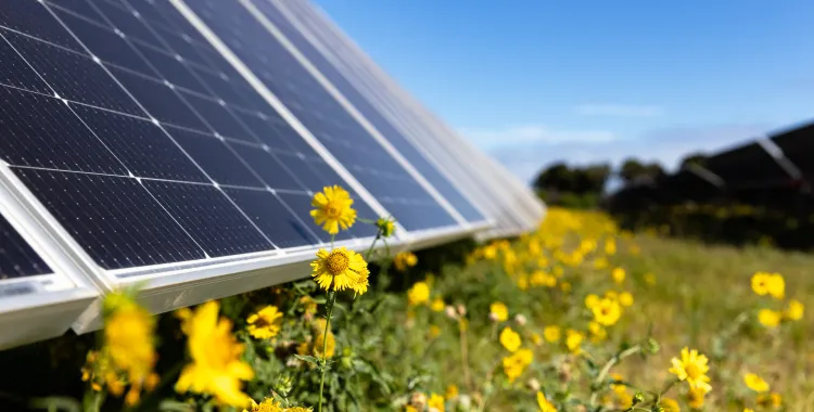 Technology-Solar-AES-Kuihelani-Solar-Storage.jpg