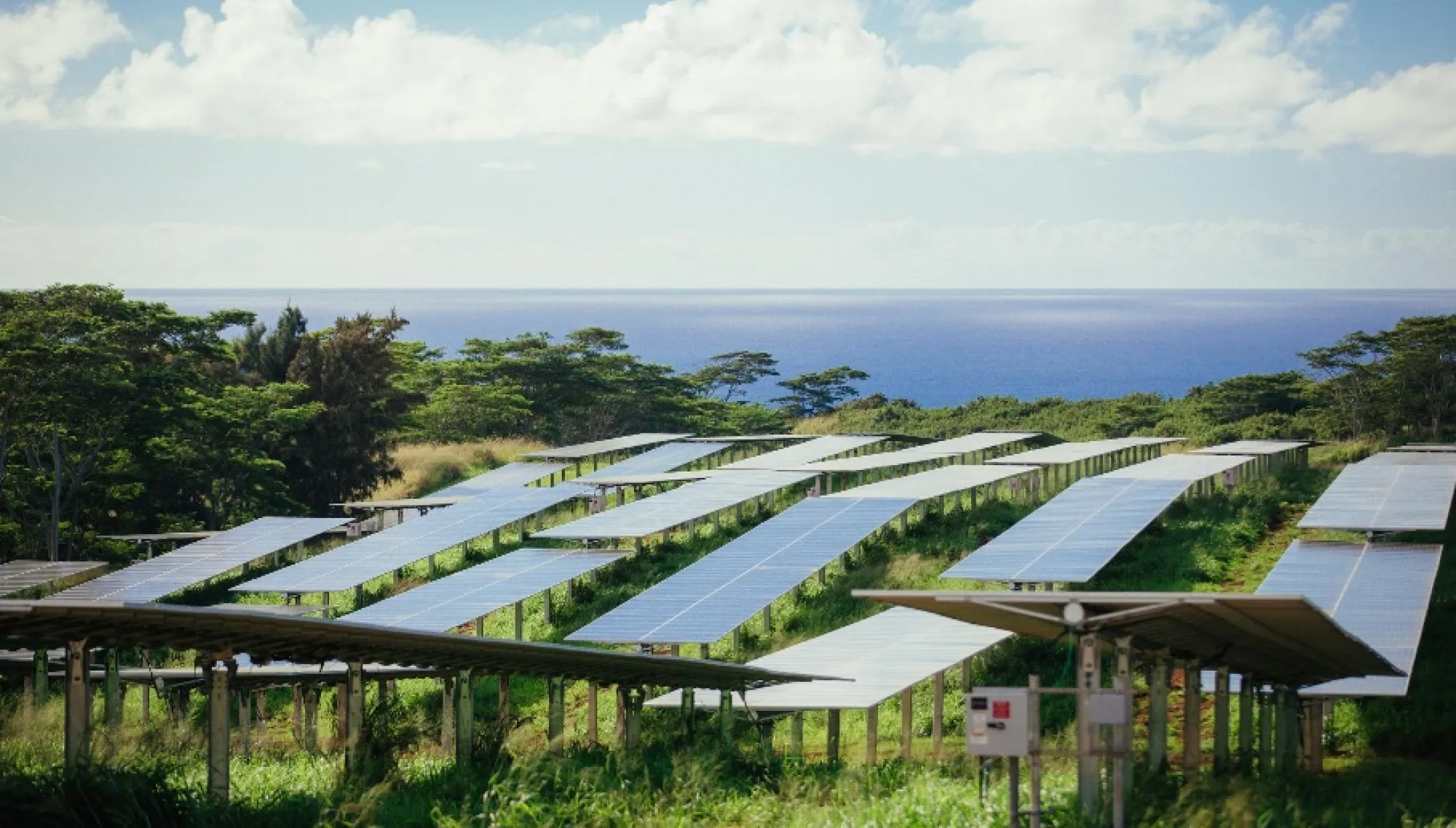 Rows of solar panels in a green field with trees and the ocean in the background under a partly cloudy sky.