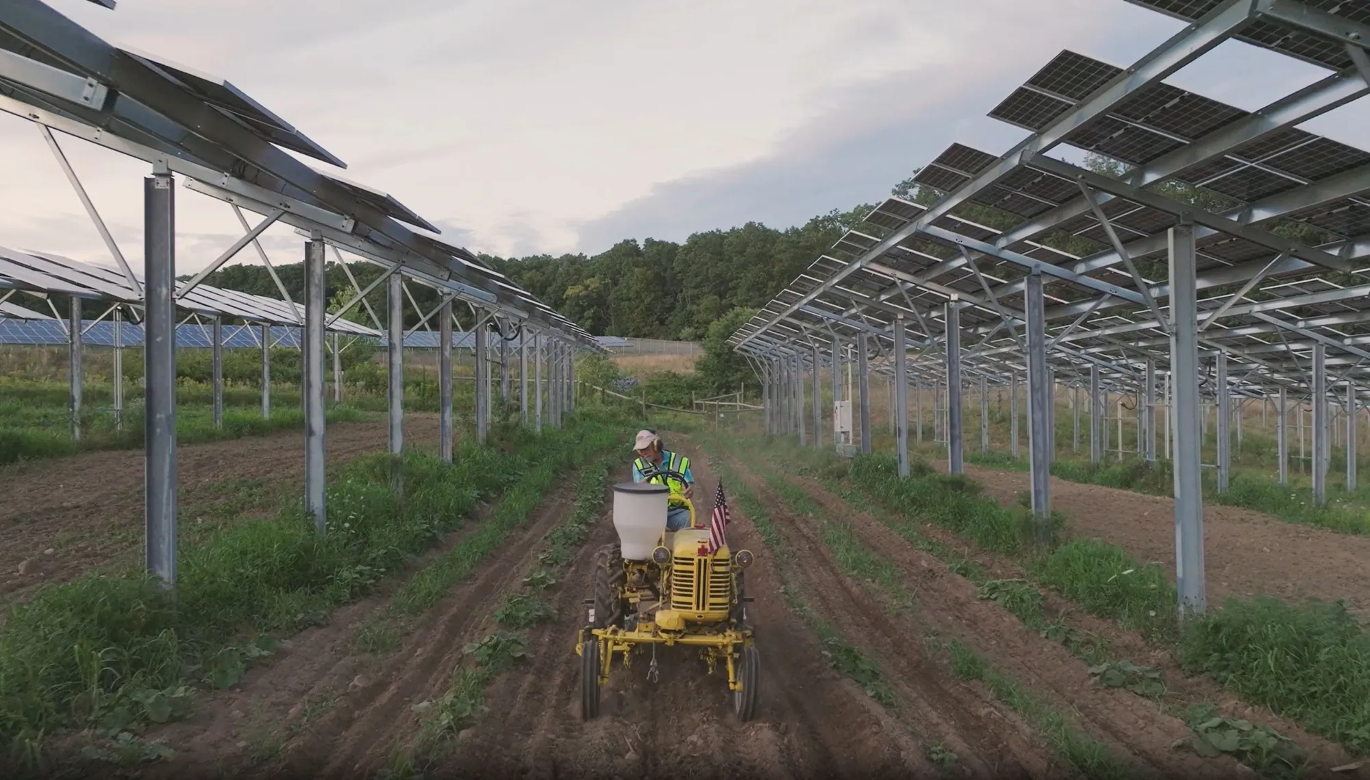 A person driving a small yellow tractor between rows of solar panels mounted on metal frames. The tractor is moving through a field with visible green plants and tilled soil. The sky is overcast, and trees are visible in the background.