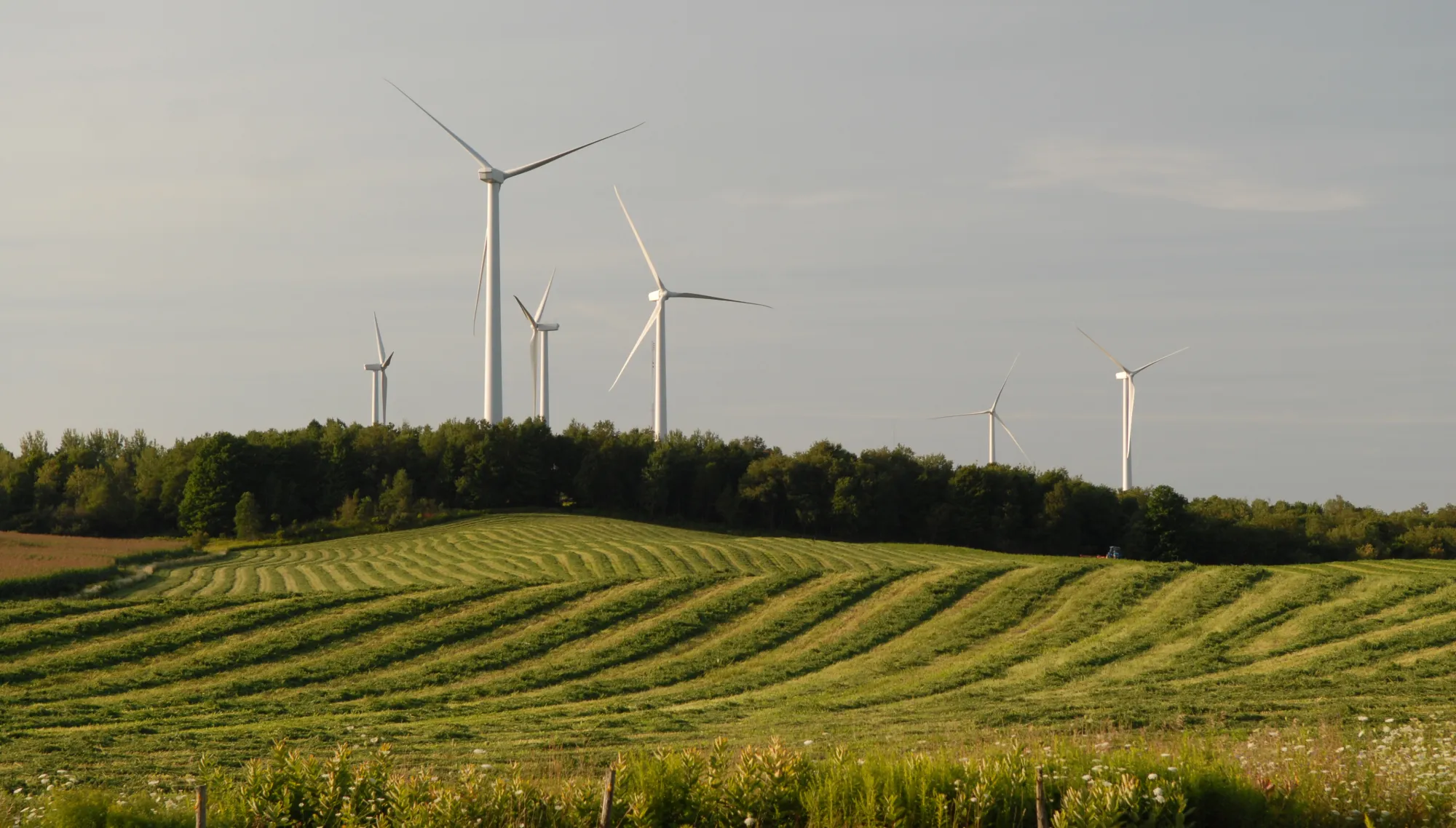A scenic landscape featuring several wind turbines on a hill surrounded by lush green fields and trees under a clear sky.