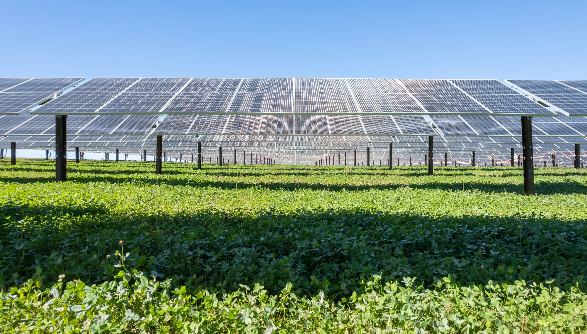 Our Clean Energy Commitment Photo.jpg