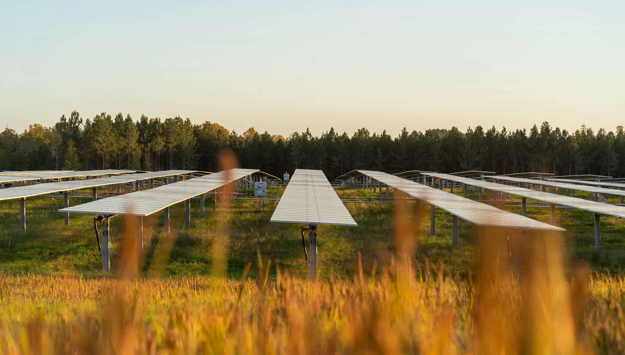 Tracy-Solar-Image