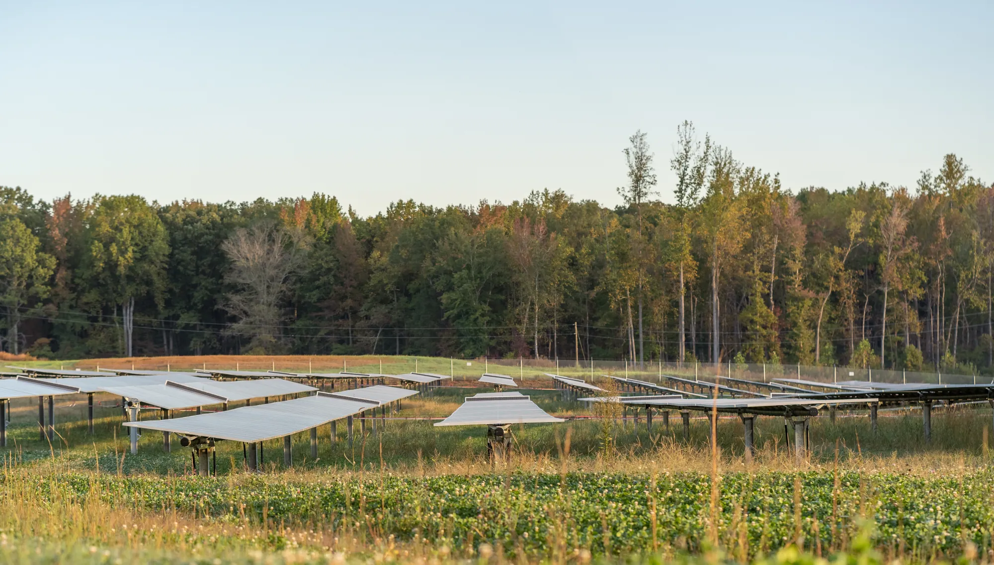 Spotsylvania (VA) - DSC09397-HDR.jpg