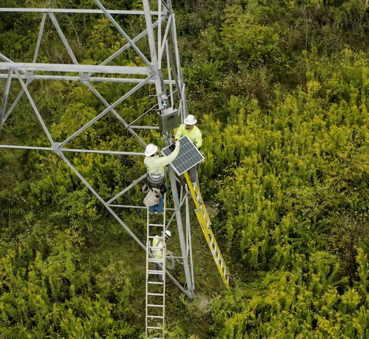 Two workers in safety gear installing a solar panel on a metal tower in a green, bushy area. One worker is on a ladder while the other is on the tower structure.