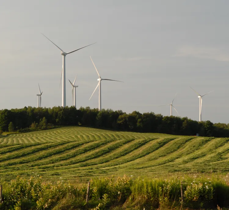 A landscape with several wind turbines on a hill, surrounded by rows of green fields and trees under a cloudy sky.