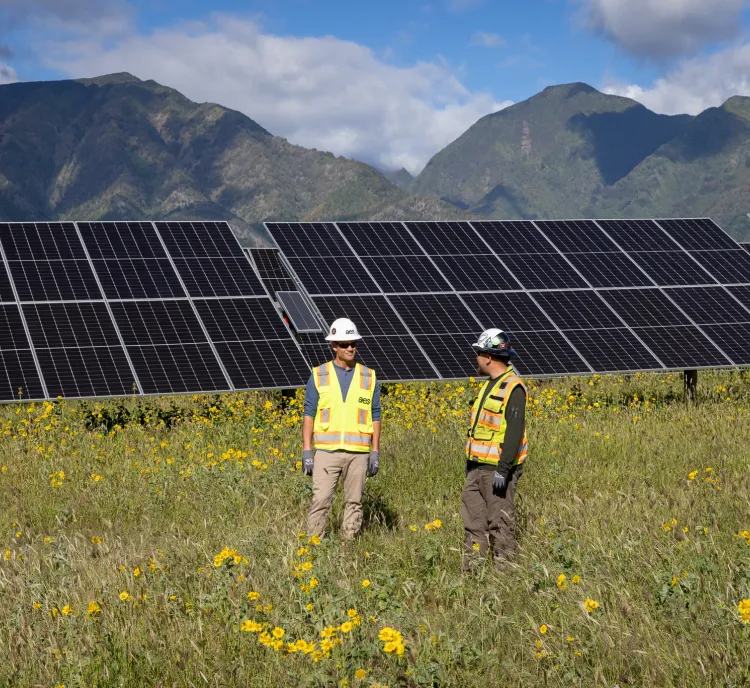 Two workers in safety vests and helmets stand in a field of yellow flowers in front of large solar panels with mountains in the background.