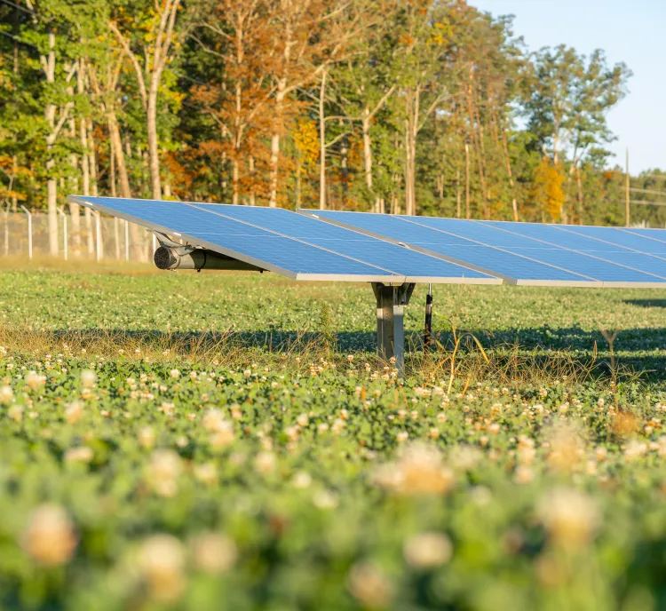Limestone Solar | AES