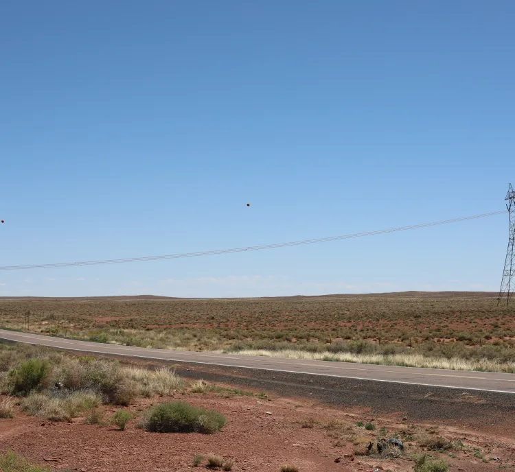 West Camp 2 Transmission Line