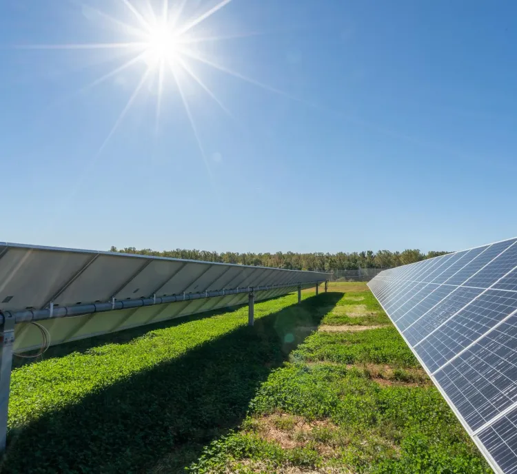Rows of solar panels in a field with green grass under a clear blue sky and bright sun.