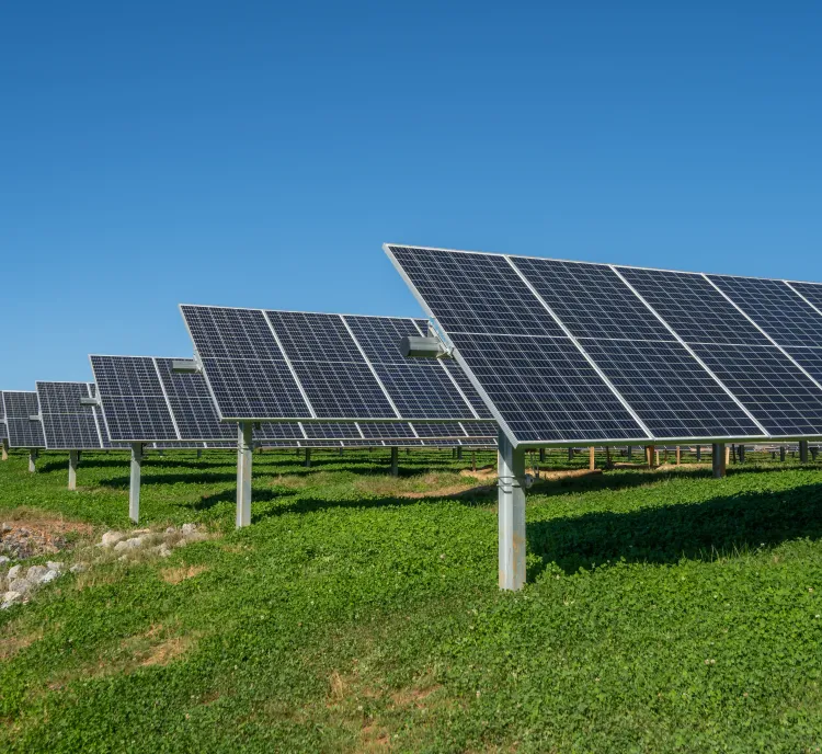 Rows of solar panels on a grassy field under a clear blue sky.