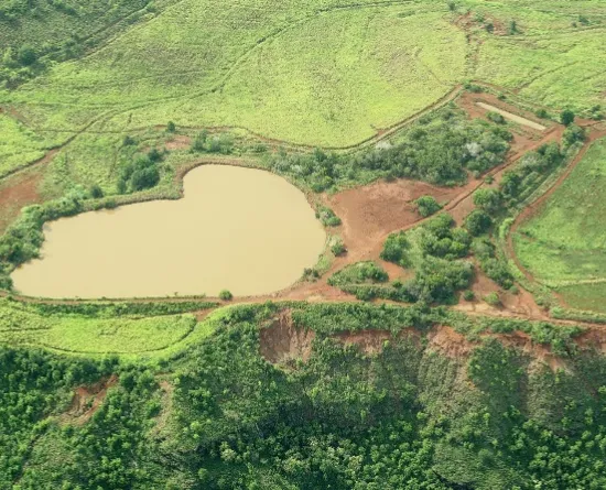 Aerial view of a heart-shaped pond surrounded by lush green fields and trees, with visible dirt paths and patches of vegetation.