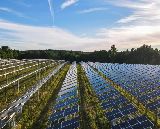 Aerial view of a large solar panel farm with rows of solar panels stretching into the distance, surrounded by trees under a clear blue sky.