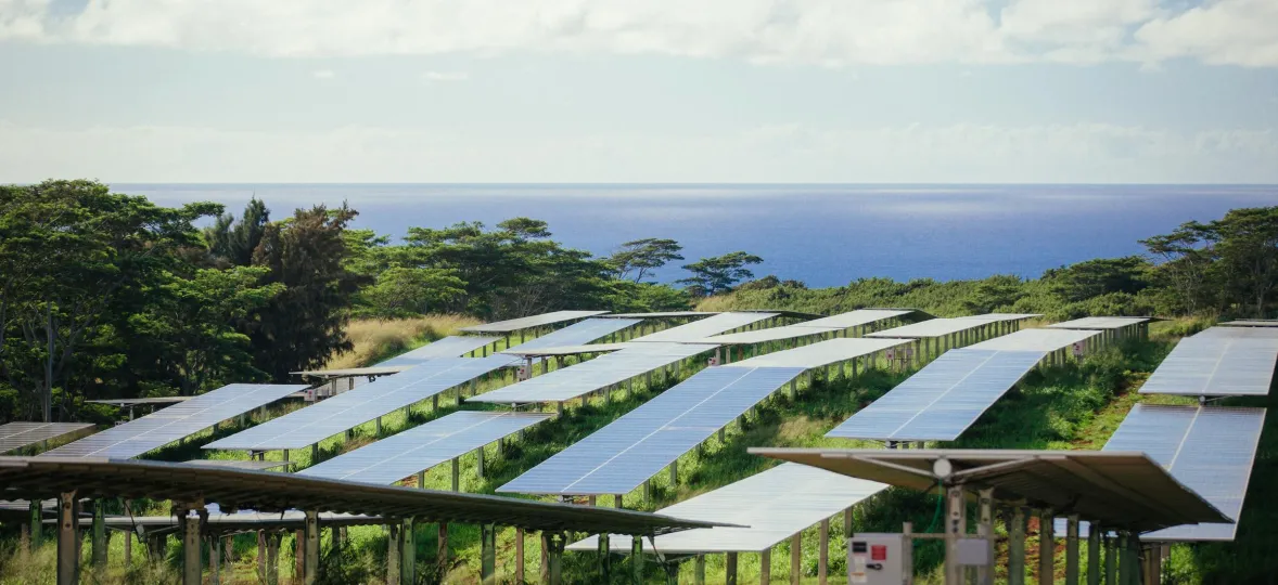 Rows of solar panels on a grassy field with trees and the ocean in the background under a partly cloudy sky.