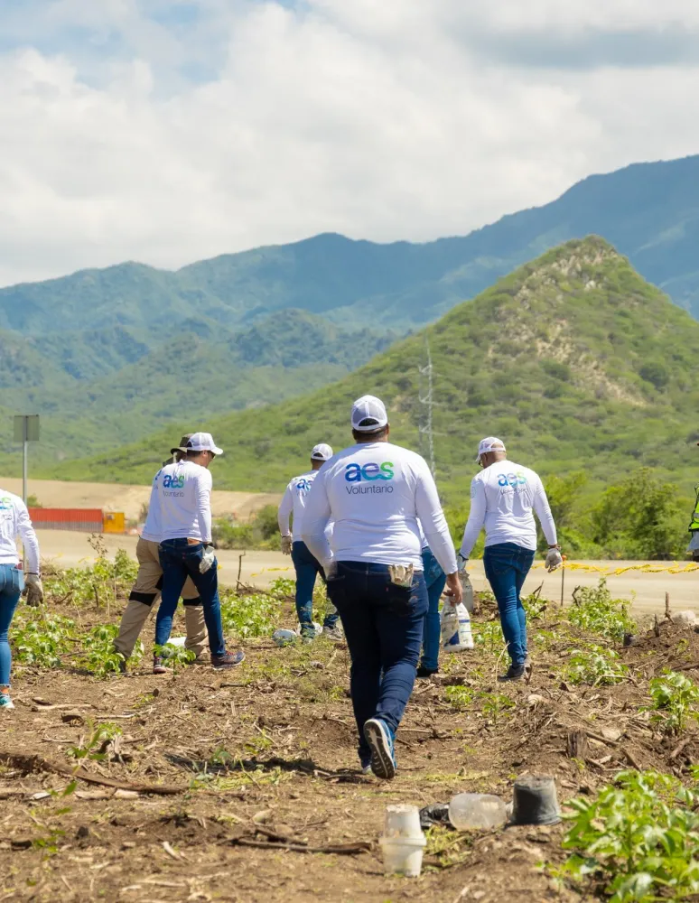 A group of volunteers wearing white shirts and caps with 'aes' logos are planting trees in a rural area with mountains in the background. A person in a safety vest stands nearby.