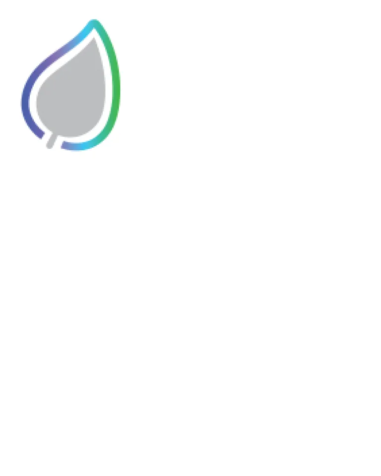 Simple gray leaf icon with a blue and green outline in the top left corner on a white background.