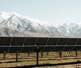 Solar panels in a field with snow-capped mountains in the background under a clear sky.