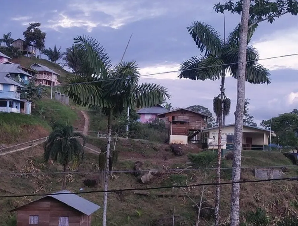 A hillside village with colorful houses surrounded by lush greenery and palm trees under a cloudy sky.