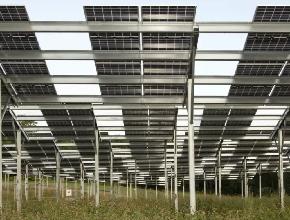 A field of solar panels mounted on metal frames, positioned above tall grass, with a clear sky in the background.