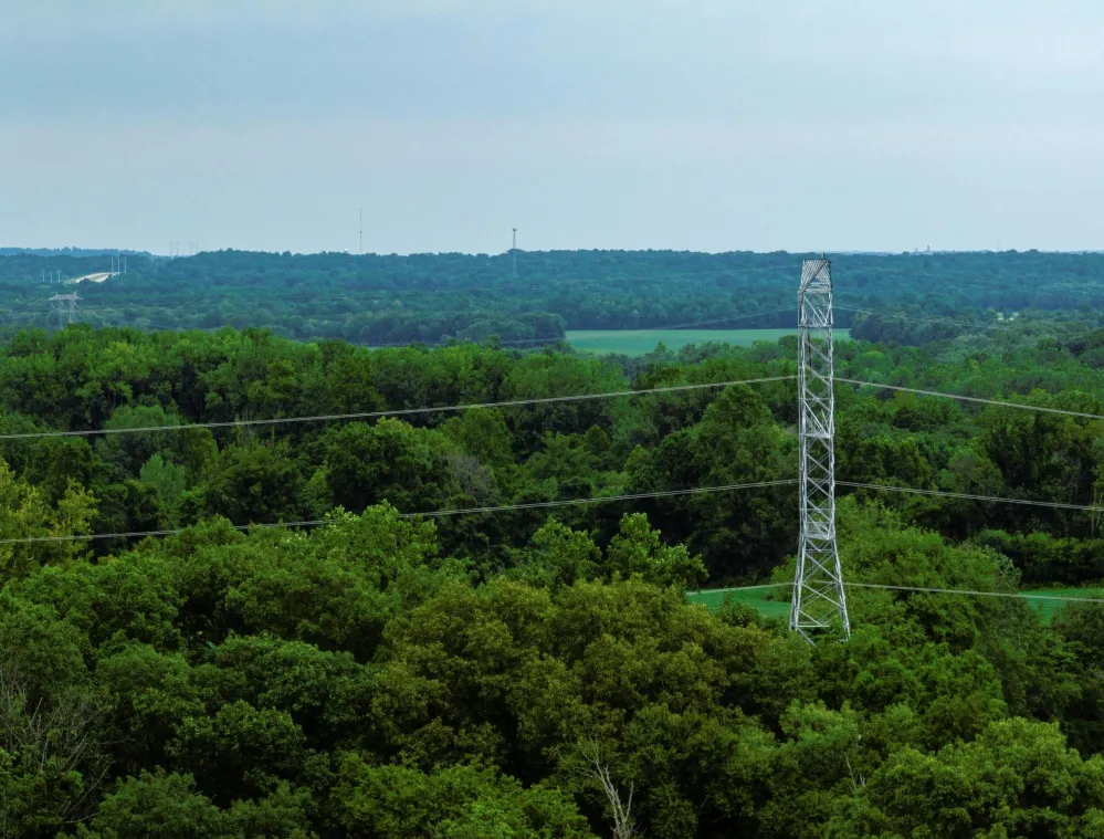 A landscape view of a dense forest with a tall metal transmission tower and power lines running through it. The background features a horizon of more forested areas under a cloudy sky.