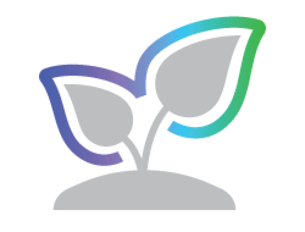 Simple illustration of a plant sprout with two leaves emerging from the soil, outlined in gradient blue and green colors.