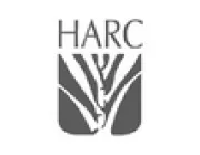logo-tree-design.png